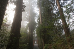Hakone-jinja Shrine 