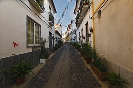 A RUA DO RUI - MOURA 