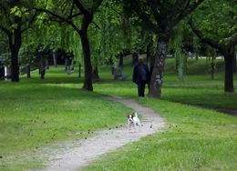 Passeio no Parque 