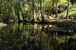 Ribeira de Alge 