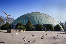 Pavilhão Rosa Mota 