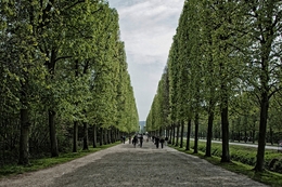 Jardins de Versalhes 