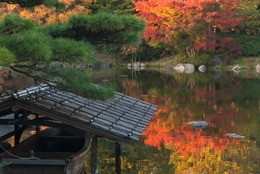 Sense of Japan in Autumn 