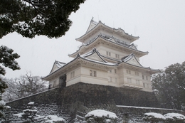 Odawara Castle of Winter 