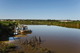 ESTUÁRIO DO SADO 