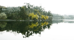 Reflexos de inverno no rio Tâmega 