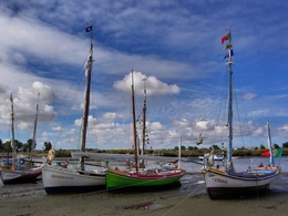 Barcos tradicionais do Tejo 