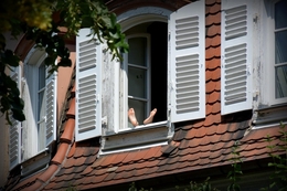A view of summer window 