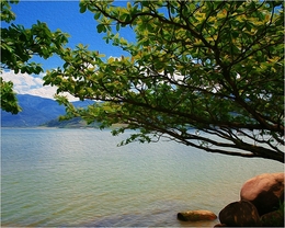 Praia da Ribeira 