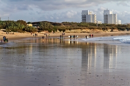 Baleal e o Surf 