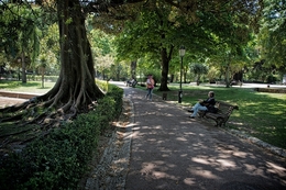 Jardim da Estrela - Lisboa 