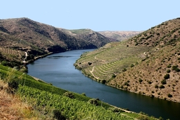 DOURO VINHATEIRO 