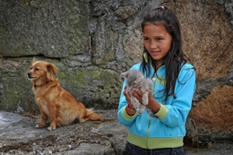 A menina, o gato e o cão 