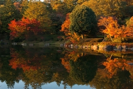 Showa Commemorative National Government Park 