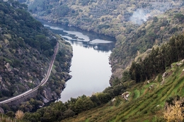 Rio Douro 