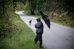 O pastor e o cão 