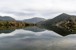 DOURO INTERNACIONAL 