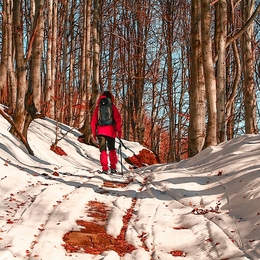 Winter hiking 