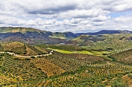 MIRADOURO DA SAPINHA-ESCALHÃO 