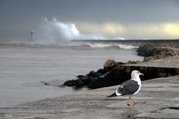 Bad weather at sea___ 