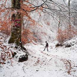 Winter hiking in the forest 