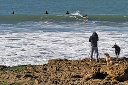 A fotografa, os cães e os surfistas 