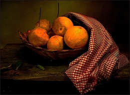 Esboço com laranjas 