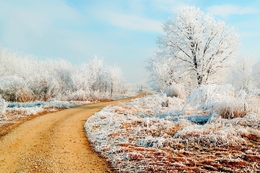 Country frozen road 