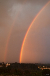 Rainbow seen from my window___ 