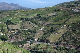 Douro 