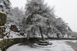 CAI NEVE NO MONDEGUINHO 