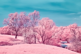 Infrared spring colors 