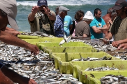 O sofrimento do pescador 