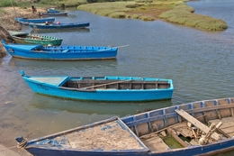 Na lagoa de Óbidos 