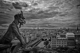 Gárgula de Notre-Dame, Paris 