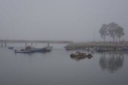 ESTUÁRIO 