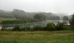 Parque da cidade do Porto 