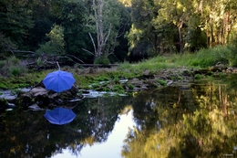 The blue umbrella... 