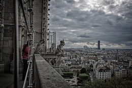 Gárgulas de Notre-Dame, Paris 