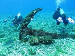 The Old Anchor 