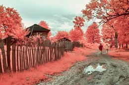 Countryside in infrared 