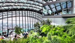 Jardins interiores no Sky Gardens 