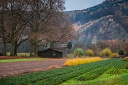 Herbst ländlichen Miltenberg 