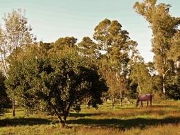  Paisagem de Outono_ 