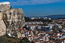 A gaivota e a cidade 