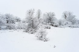 White landscape 