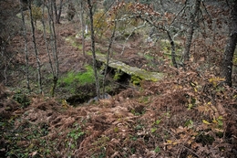 A ponte de pedra 