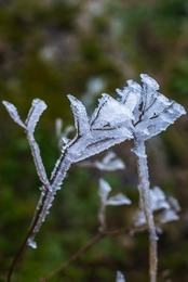 Frio de cristal 