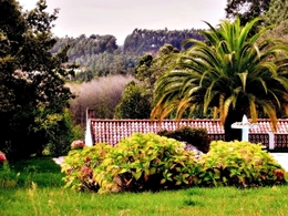 AMO ESTE JARDIM DE UM RESTAURANTE 