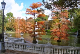 Jardim do Palácio de cristal (Madrid) 